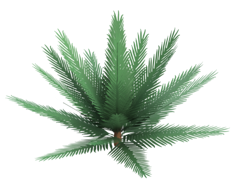 PALM TREE KIT