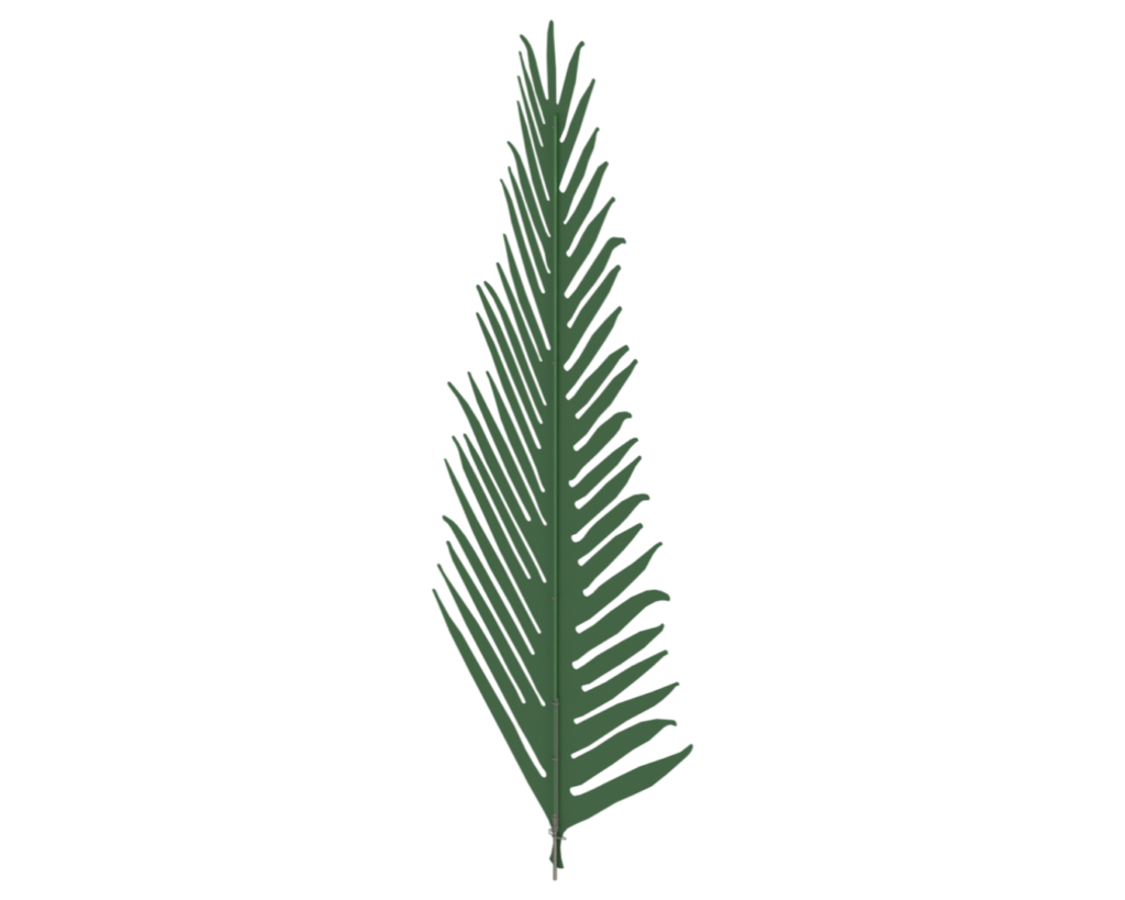 PALM LEAF (502004)